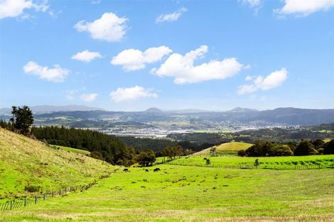 Photo of property in 469 Mount Tiger Road, Whareora, 0192