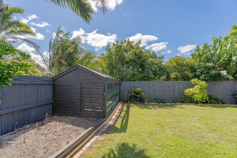 Photo of property in 29 Wells Place, Whitianga, 3510