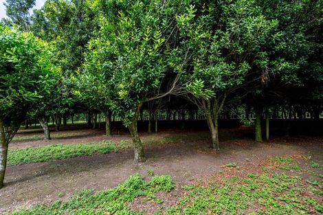 Photo of property in 229 Surrey Hill Road, Kaitake, New Plymouth, 4374