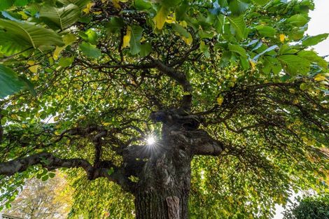 Photo of property in 15a Ward Street, Springlands, Blenheim, 7201