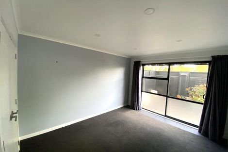 Photo of property in 132c Firth Street, Hamilton East, Hamilton, 3216