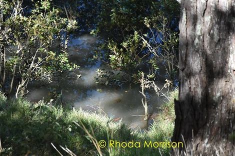 Photo of property in Pahi Road, Pahi, Paparoa, 0571