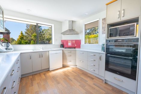 Photo of property in 358 Hadlow Road, Claremont, Timaru, 7974