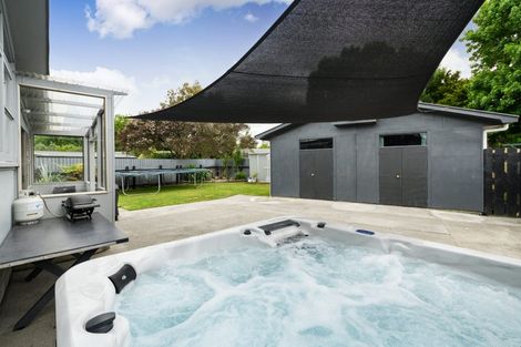 Photo of property in 61 Langley Avenue, Milson, Palmerston North, 4414