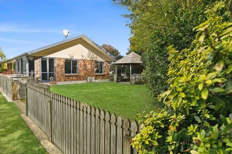 Photo of property in 24a Mangawhero Road, Matamata, 3400