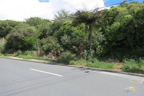 Photo of property in 141 Ironside Road, Johnsonville, Wellington, 6037