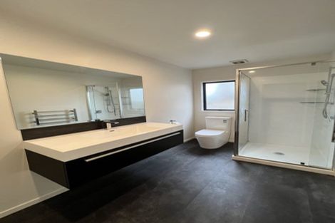 Photo of property in 428a Tristram Street, Whitiora, Hamilton, 3200