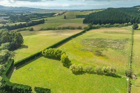 Photo of property in 421 Cramptons Bush Road, Broomfield, Amberley, 7482