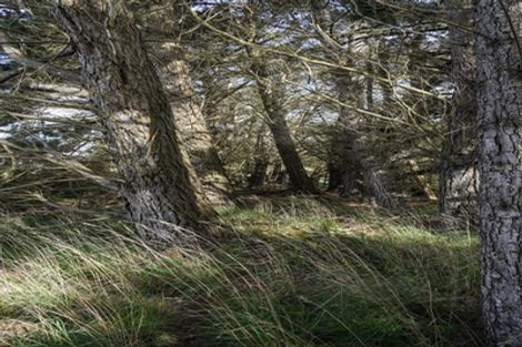 Photo of property in 21 Mcgilvray Road, Myross Bush, Invercargill, 9876