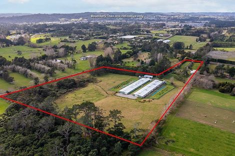 Photo of property in 118 Motu Road, Kumeu, 0891
