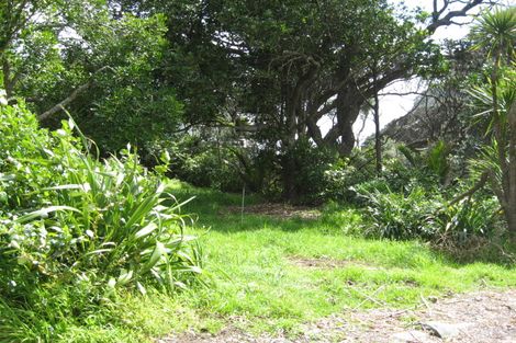 Photo of property in 20 Sylvan Glade, Piha, 0772
