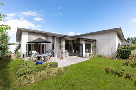 Photo of property in 24 Moonlight Drive, Rototuna North, Hamilton, 3210