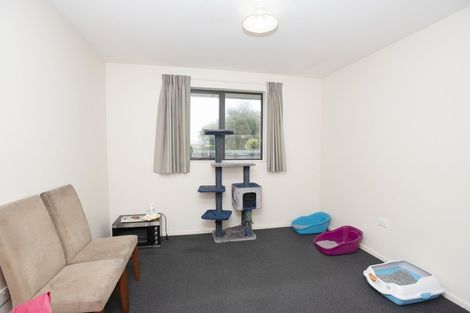 Photo of property in 177 Conon Street, Appleby, Invercargill, 9812