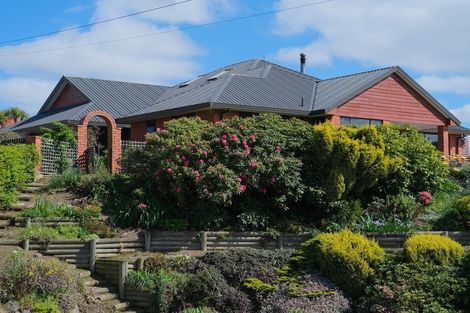 Photo of property in 49 Mull Street, Palmerston, 9430