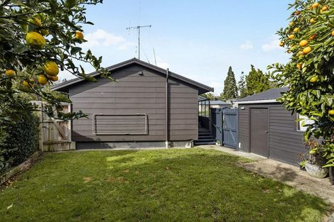 Photo of property in 87 Scott Street, Leamington, Cambridge, 3432