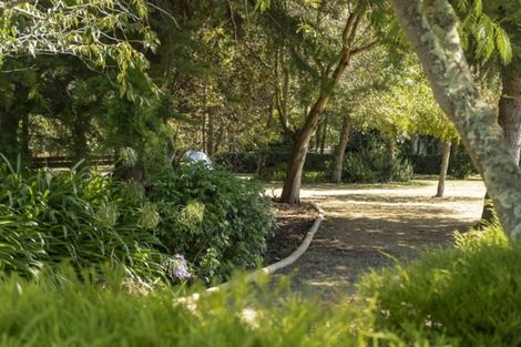 Photo of property in 3 Grey Street, Martinborough, 5711