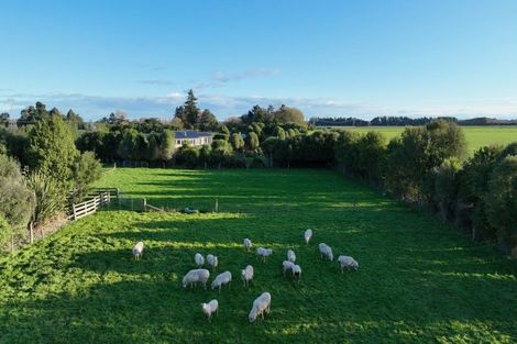 Photo of property in 35 Ridgens Road, Greendale, Christchurch, 7671