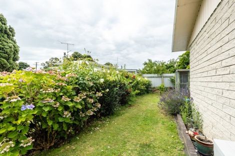 Photo of property in 49a Oak Street, Mangapapa, Gisborne, 4010