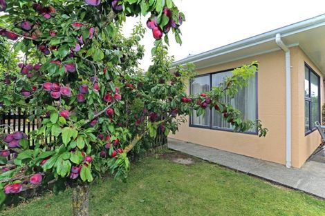 Photo of property in 1/800 Miller Street, Hastings, 4122