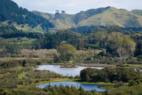 Photo of property in 97 Koutunui Road, Athenree, Katikati, 3177