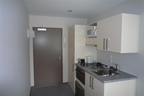 Photo of property in Dual Apartments, 108/142 Vivian Street, Te Aro, Wellington, 6011