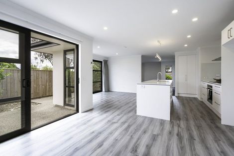 Photo of property in 10 Julius Place, Richmond, 7020