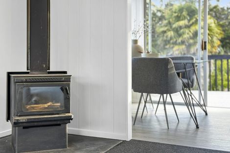 Photo of property in 69 Pine Avenue, Henderson, Auckland, 0612