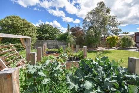 Photo of property in 33 Beaumaris Street, Outram, 9019