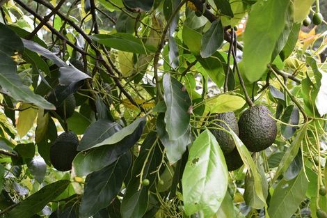 Photo of property in 1 Journeys End, Tapora, Wellsford, 0977