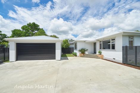 Photo of property in 486 Ruahine Street, Terrace End, Palmerston North, 4410