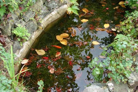 Photo of property in 286 Bay Road, West Plains, Invercargill, 9879