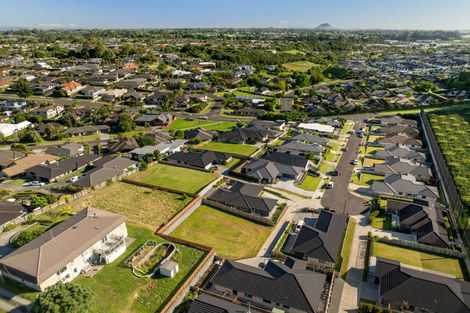 Photo of property in 48 Sharman Place, Pyes Pa, Tauranga, 3112
