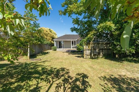 Photo of property in 147 Bartholomew Road, Levin, 5510