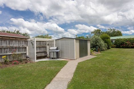 Photo of property in 129 Guy Street, Dannevirke, 4930