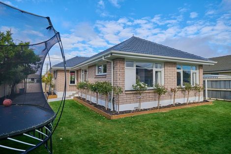 Photo of property in 45 Farrington Avenue, Bishopdale, Christchurch, 8053