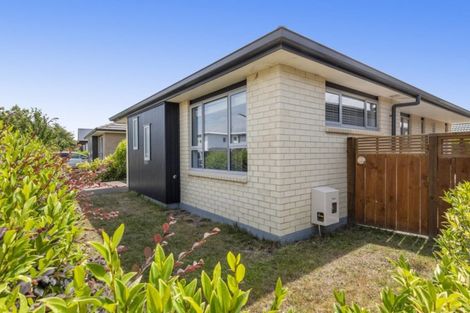 Photo of property in 36 Landing Drive, Pyes Pa, Tauranga, 3112