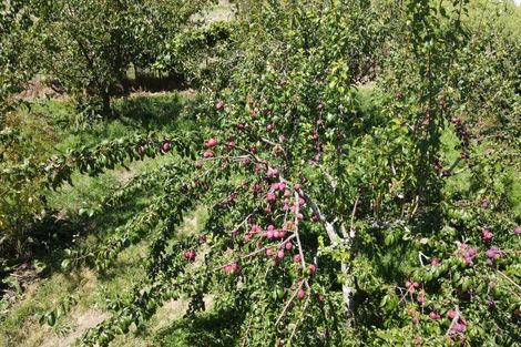 Photo of property in 271 Mystery Creek Road, Ohaupo, 3881