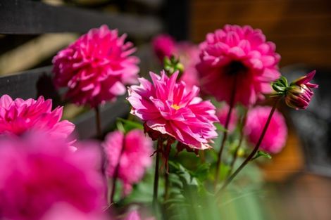 Photo of property in 25 Patanga Crescent, Thorndon, Wellington, 6011