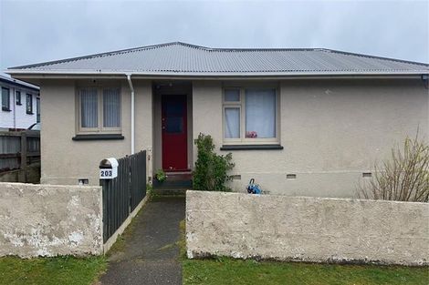 Photo of property in 203 Lagan Street, Bluff, 9814