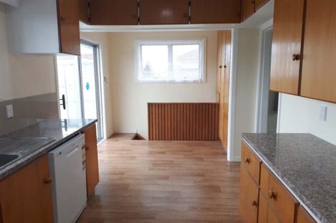 Photo of property in 53 Rogan Street, Mount Roskill, Auckland, 1041