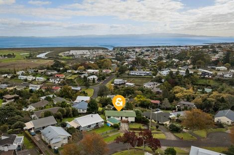 Photo of property in 404 Millington Place, Thames, 3500