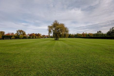 Photo of property in 25 Racecourse Road, Cambridge, 3493