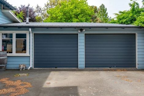 Photo of property in 21 Percy Street, Blenheim, 7201