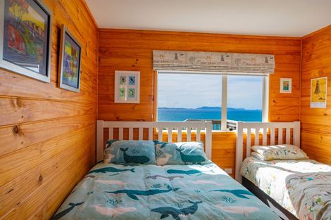 Photo of property in 473e Tuateawa Road, Tuateawa, Coromandel, 3583