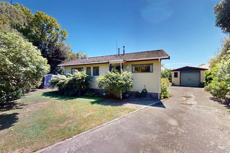 Photo of property in 29a Sussex Street, Levin, 5510