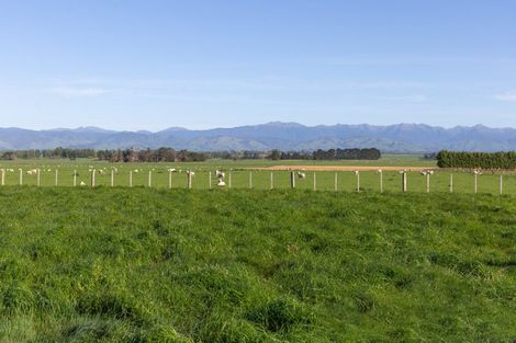 Photo of property in 595 East Taratahi Road, East Taratahi, Carterton, 5887