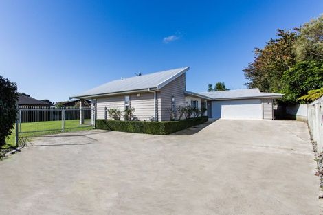 Photo of property in 132 Guy Street, Dannevirke, 4930