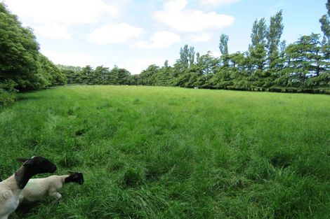 Photo of property in 107 Albert Street, Elgin, Ashburton, 7700