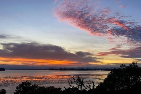 Photo of property in 17 Tinopai Drive, Omokoroa, 3114