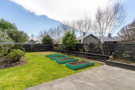 Photo of property in 142 Upper Plain Road, Masterton, 5810